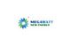 Megawatt New Energy Technology Co., Ltd. (MNE)