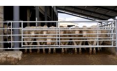 CK-Industries - 5 Tube Panels