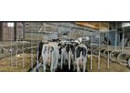 CRD - Electric Dog Parlor for Milking Cows