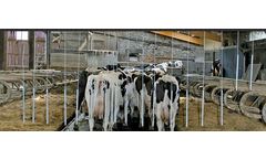 CRD - Electric Dog Parlor for Milking Cows