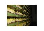 Gode - Chicories Vat System