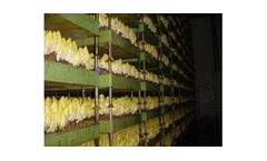 Gode - Chicories Vat System