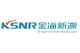 Kingshore New Resources Electric Group