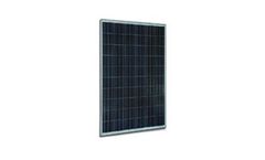 Jetion - Model JT260PLe 260w 255w 250w - Solar Poly Solar Module