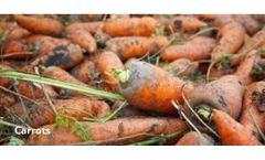 Solutions for other Crops