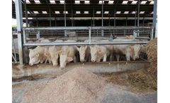 Jourdain - Model PE0205 - Panel Fattening 2 Tubes L.5 M