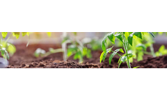 Dankoff - Gardening and Greenhouse Watering Kits