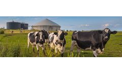 Dürr - Model Sorpt.X SB - Biogas Purification Systems