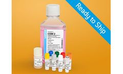 Lonza - Model EGM-2 - Endothelial Cell Growth Medium-2 BulletKit