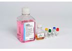 Lonza - Model EGM -2 MV - Microvascular Endothelial Cell Growth Medium-2 BulletKit