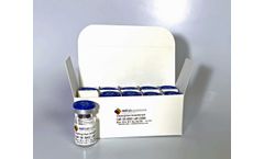 NSI - Model 10K-00053 - Aspergilus Brasiliensis NCPF 2275 10-Pack Part