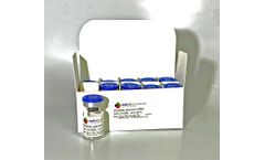 NSI - Model 10K-00054 - Candida Albicans NCPF 3179 10-Pack Part