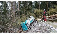 Moritz - Model Fr50 - Mini Felling Tractors