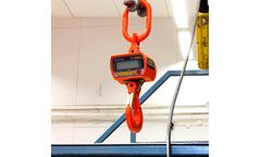Tamtron - Model PCS - Crane Scale for Lighter Industrial Weighings
