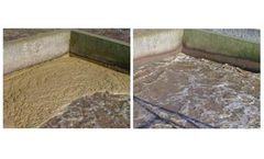 Atlas - Biodigester - Biological Wastewater Treatment