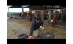 Diet Sieving for Ruminants by NWF Agriculture - Video