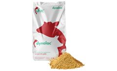 UFAC Dynalac - Rumen Inert Fatty Acid Supplement for High-Yielding Dairy Herds