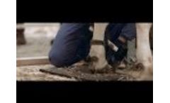KVK International Hoof Trimming Conference - Video