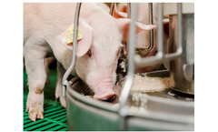 Delacon - Model Fresta F - Phytogenic Feed