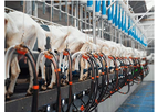 Delacon - Model Actifor - Enhanced Feed