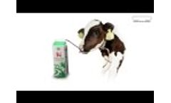 Moving Floor Calf Feeder Video