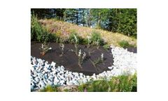 VICONA, TT - Ground Cover Mypecks