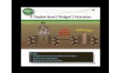 0:00 / 13:20 Humics 101 (3 of 4) Video