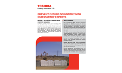 Toshiba - Model 0014DPSA31A-P - Open Drip Proof Motors Brochure