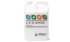Alligare - Model 2,4-D Amine - Weed Killer Aquatic Segment