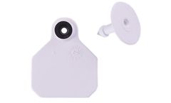 Y-TEX - 1 Mini 2 Piece Tag