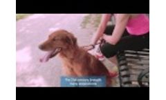Elanco History Video