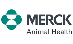 Porcilis - Model ILEITIS - Injectable, Single-Dose Inactivated Vaccine