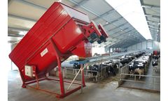 Cormall - Feeding Belt Conveyor