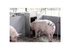 Sow Heat Detection Feeding System
