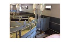 Combi Pig Feeder