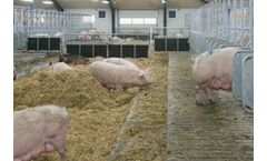 Model LD-Box - Traditional Sow Mating Box