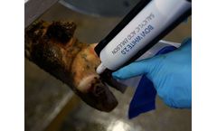Bovi Hoof - Model 2.0 - White Salicylic Acid