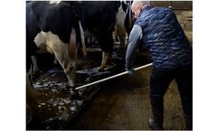 Bovi-Hoof - Bandage Cutter