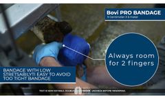 Hoof treatment of Digital Dermatitis, interdigital dermatitis & limax - Video