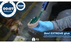 Bovi Hoof Glue EXREME - 200 ml. - Video