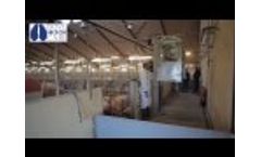 Bovi Cart - A mobile hoof washer - Video