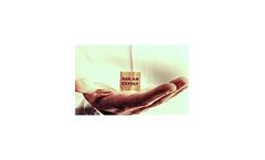 Occupational Health Management Services