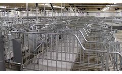 Vissing - Model UK - Sow Mating Unit