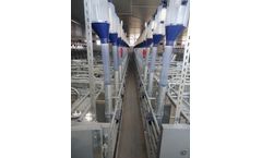 Vissing - Free Access Stall (FAS)
