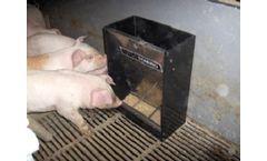 Domino - Model Mini 3-10 kg - Piglets Feeders