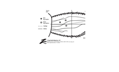 No-Snag-Tag - Model Z1 - One-Piece Livestock Ear Tag Brochure