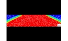 Elder Problem. Transient Concentrations Video