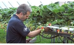 How NIAB EMR research institute use Delta-T Devices soil sensors to improve crop yield and quality