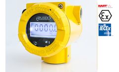 Aplisens - Model LI-24ALW - Smart Temperature Transmitter