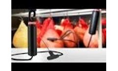 MadgeTech RFOT Wireless Meat Data Logger Video